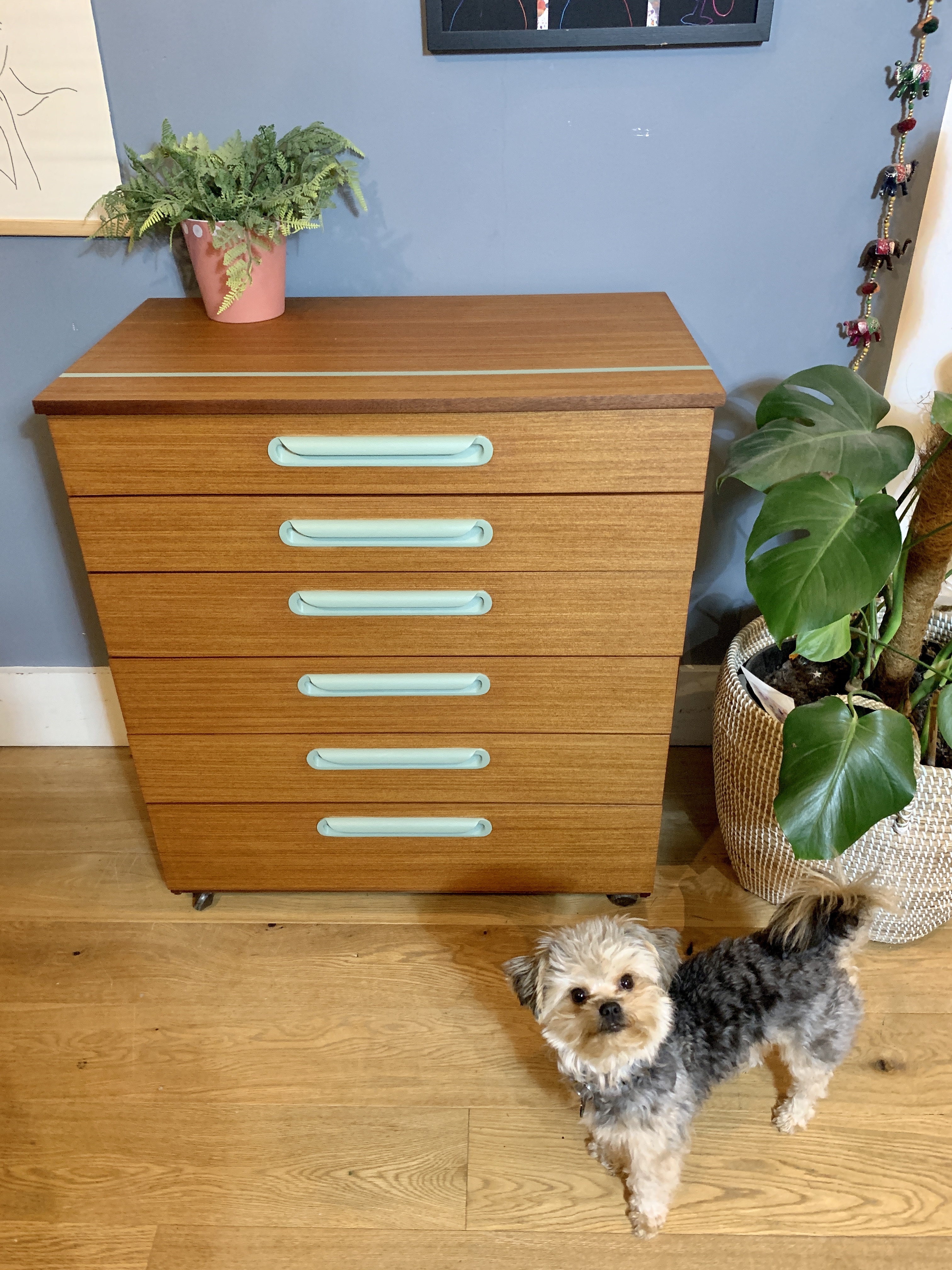 Teak Chest with Mint Handles